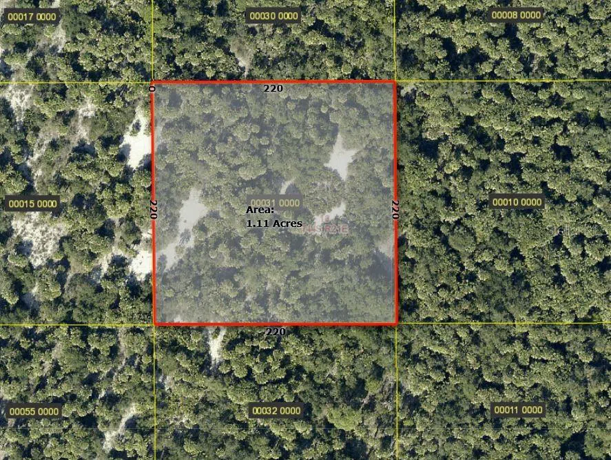 ACCESS UNDETERMINED Bokeelia, FL 33922