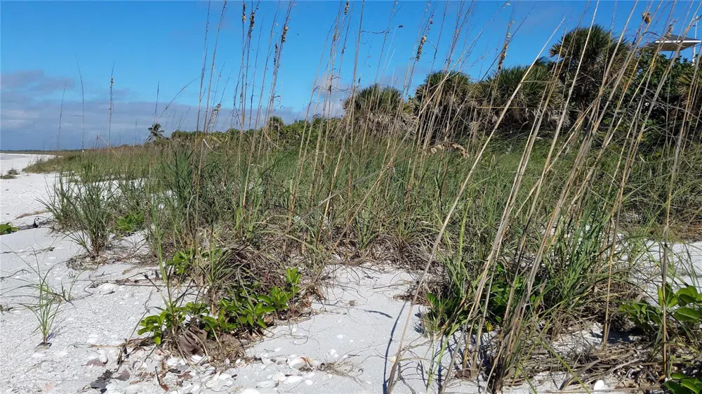 ACCESS UNDETERMINED Bokeelia, FL 33922