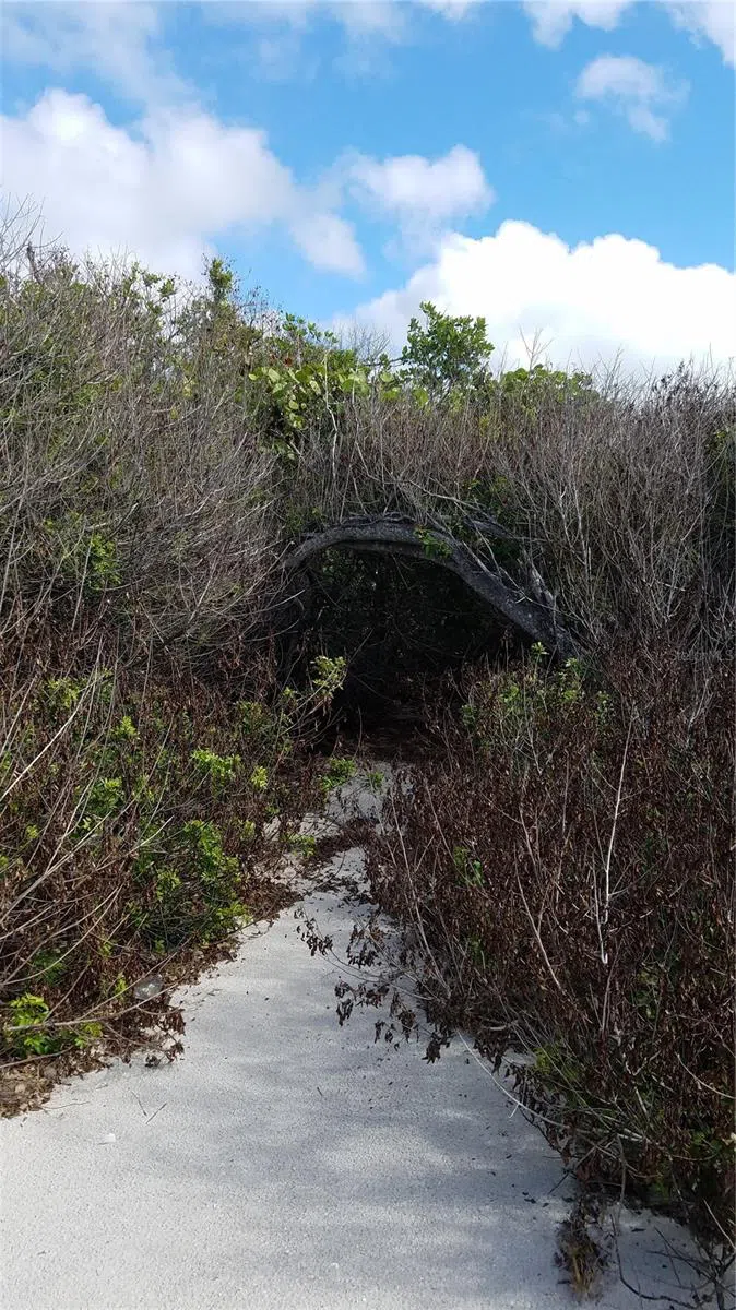 ACCESS UNDETERMINED Bokeelia, FL 33922