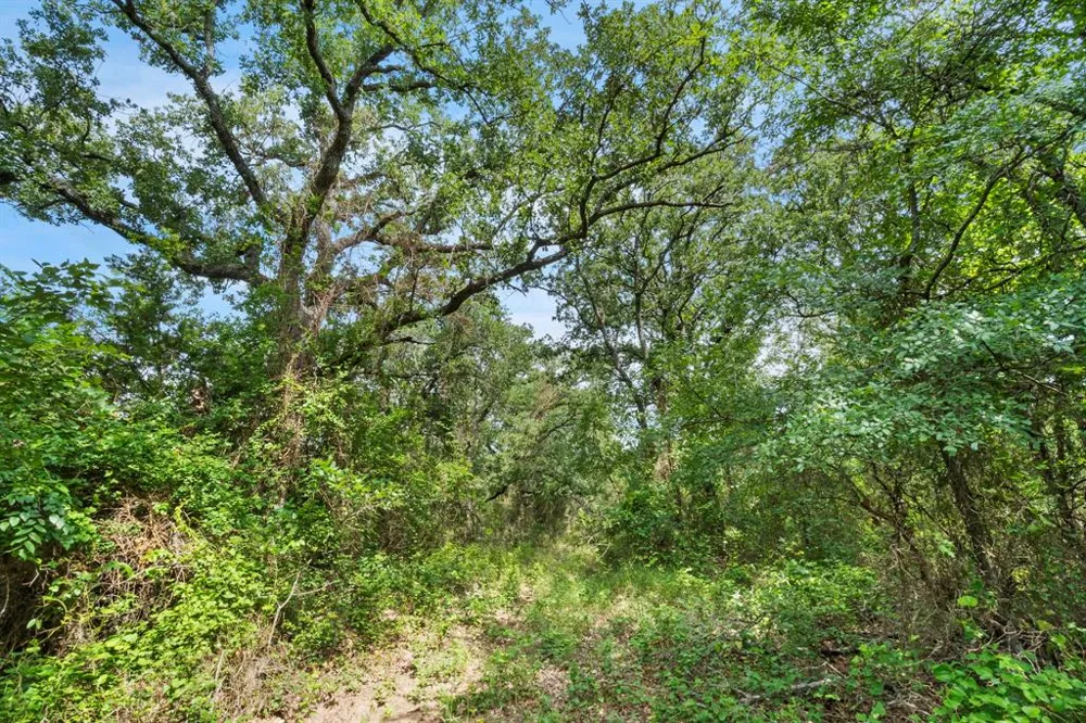 1435 Private Road 1129 Stephenville, TX 76401