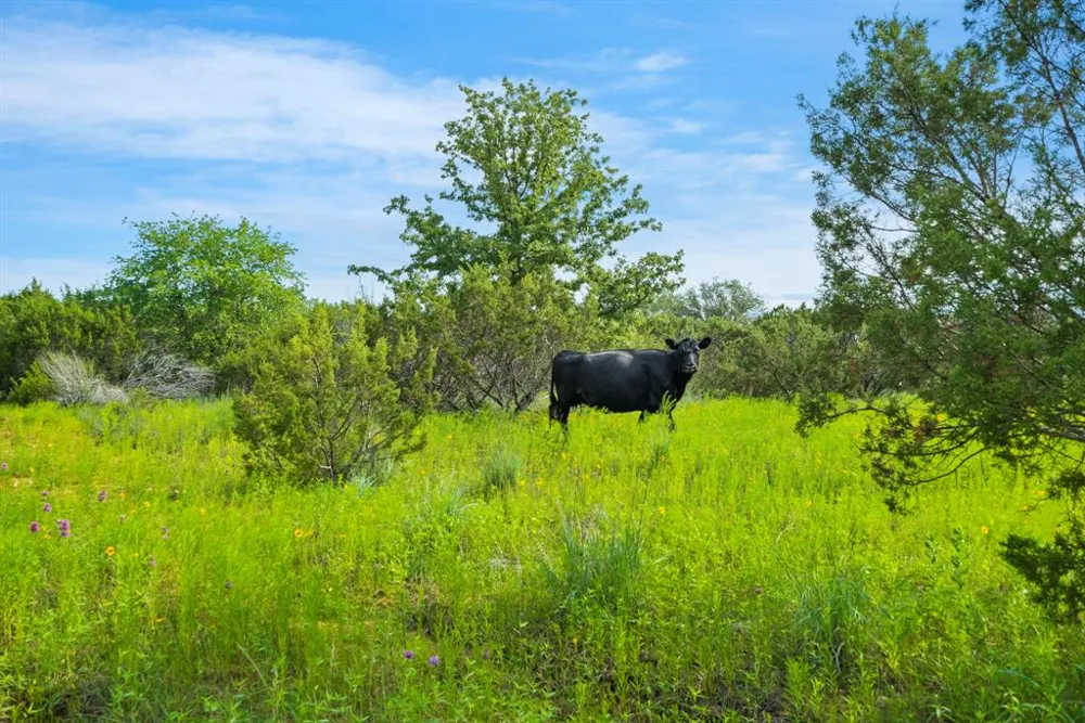 1435 Private Road 1129 Stephenville, TX 76401