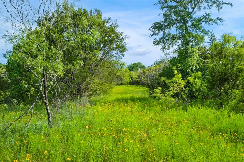 1435 Private Road 1129 Stephenville, TX 76401