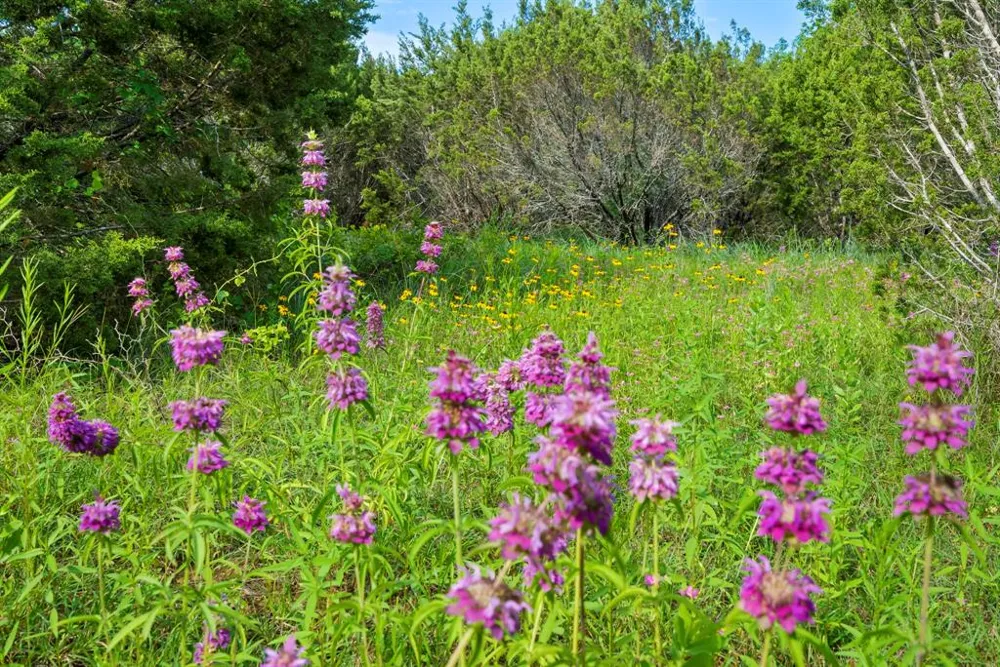 1435 Private Road 1129 Stephenville, TX 76401