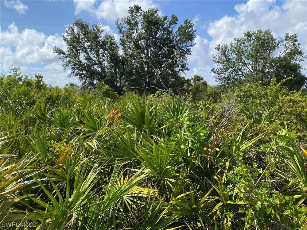 Baytree Drive Rotonda West, FL 33947