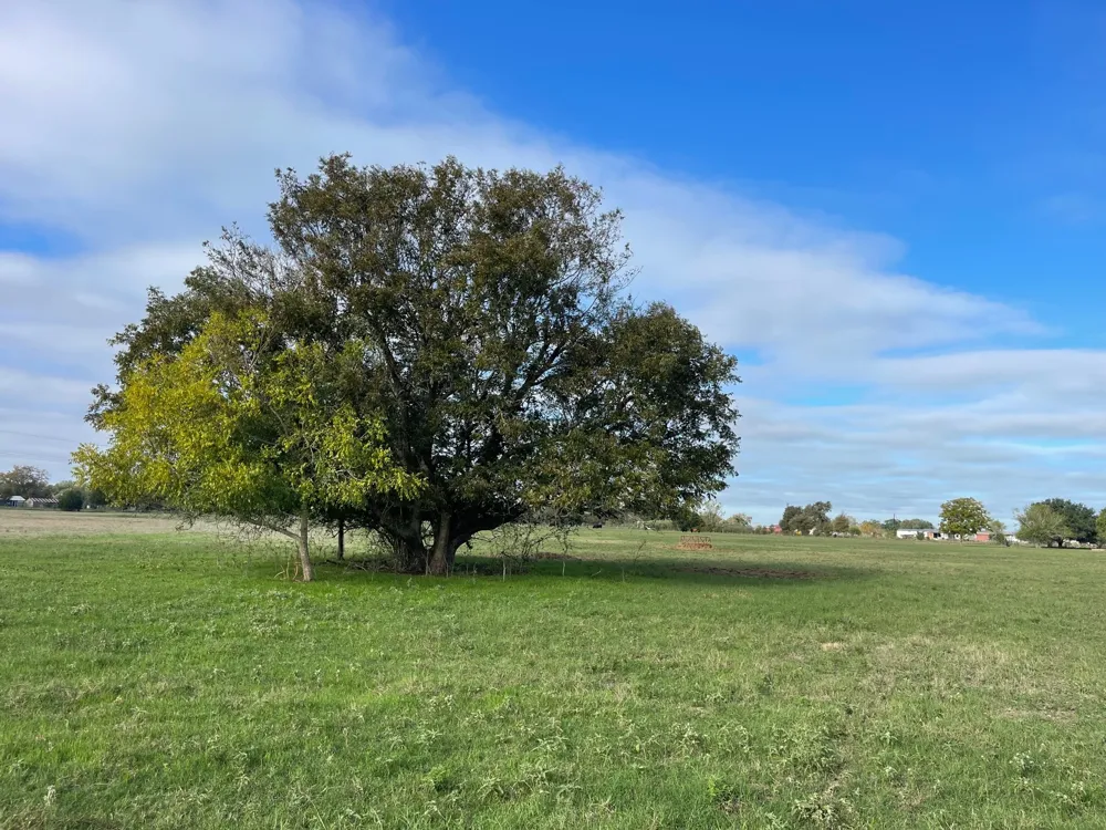 741 Muzny Lane La Grange, TX 78945