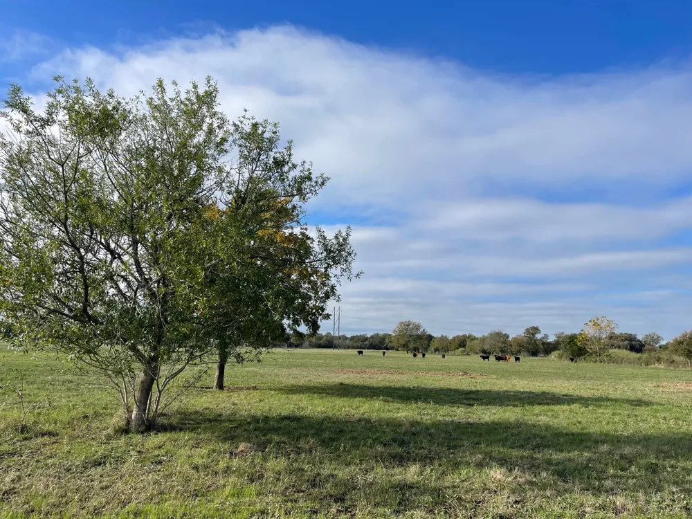 741 Muzny Lane La Grange, TX 78945