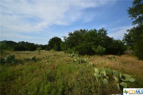 17426 US Highway 183