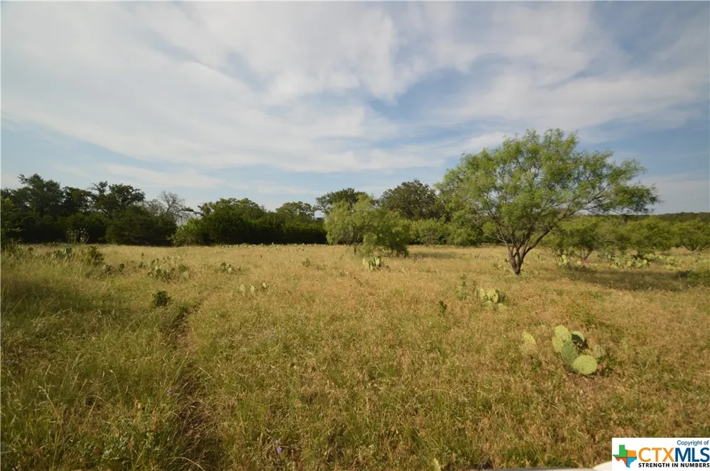 17426 US Highway 183 Lometa, TX 76853