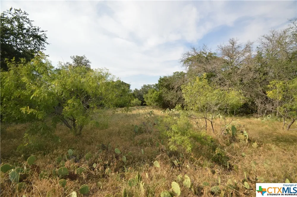 17426 US Highway 183 Lometa, TX 76853