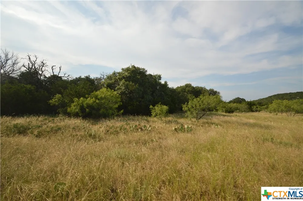17426 US Highway 183 Lometa, TX 76853