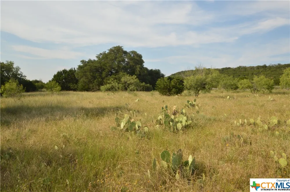 17426 US Highway 183 Lometa, TX 76853