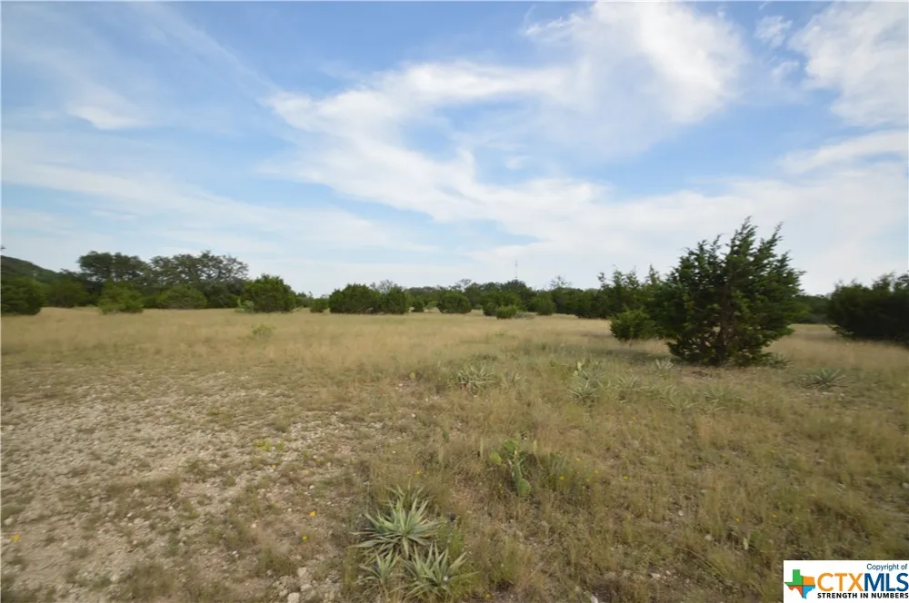 17426 US Highway 183 Lometa, TX 76853