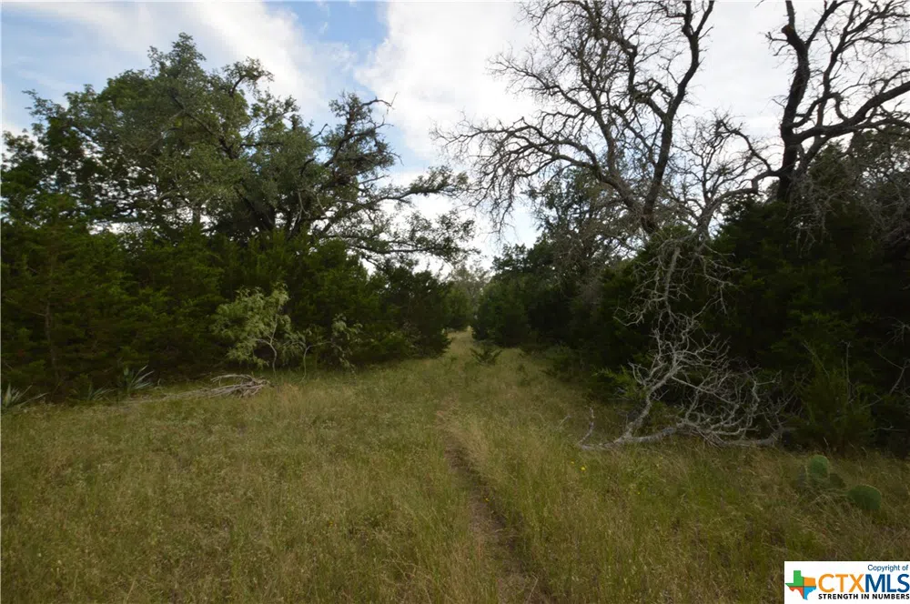 17426 US Highway 183 Lometa, TX 76853