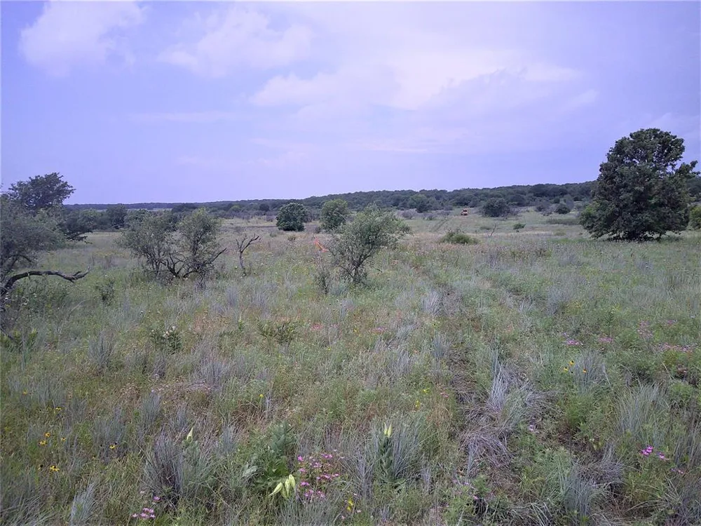 4 Wire Bowie, TX 76230