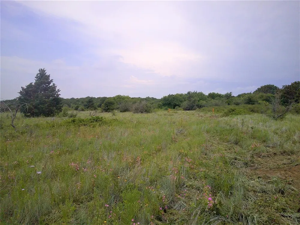 4 Wire Bowie, TX 76230