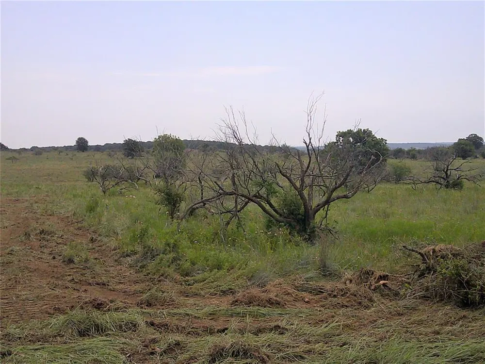 4 Wire Bowie, TX 76230