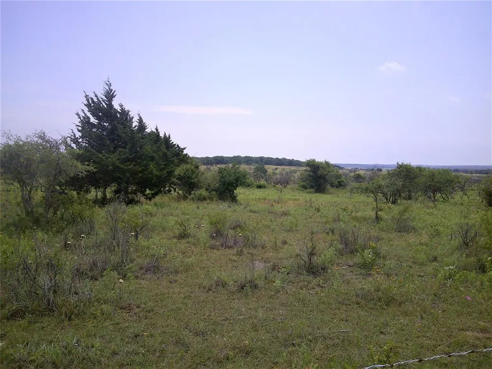 4 Wire Bowie, TX 76230