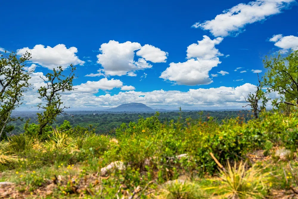 8475 W HWY 29 Highway