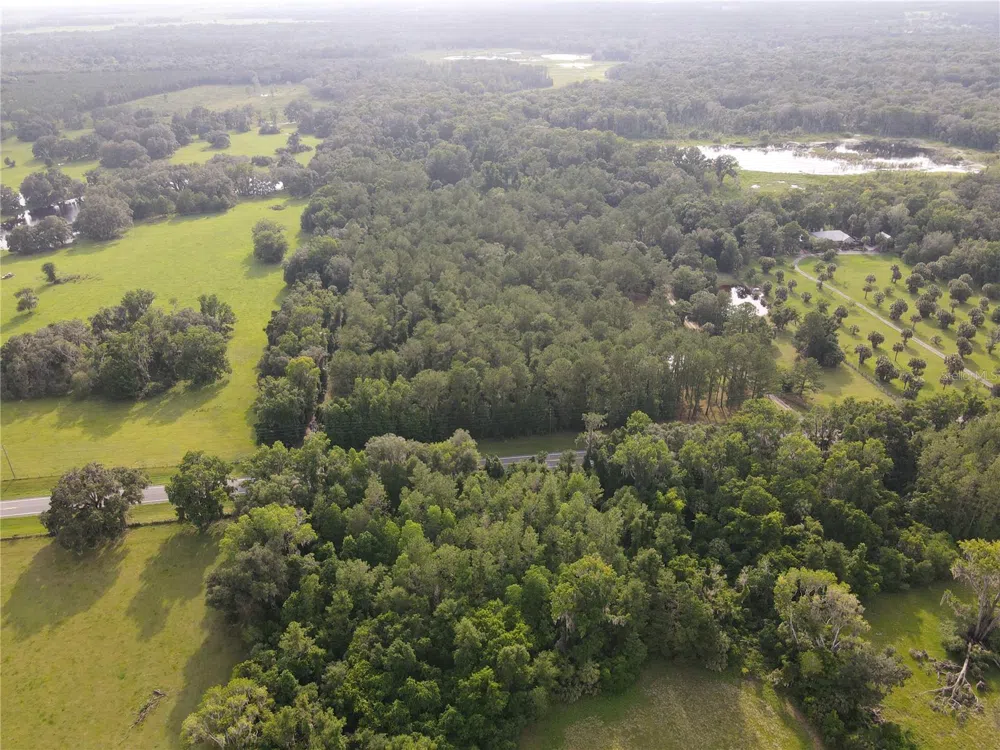 15208 SW WILLISTON RD Micanopy, FL 32667