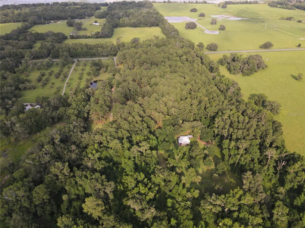 15208 SW WILLISTON RD Micanopy, FL 32667