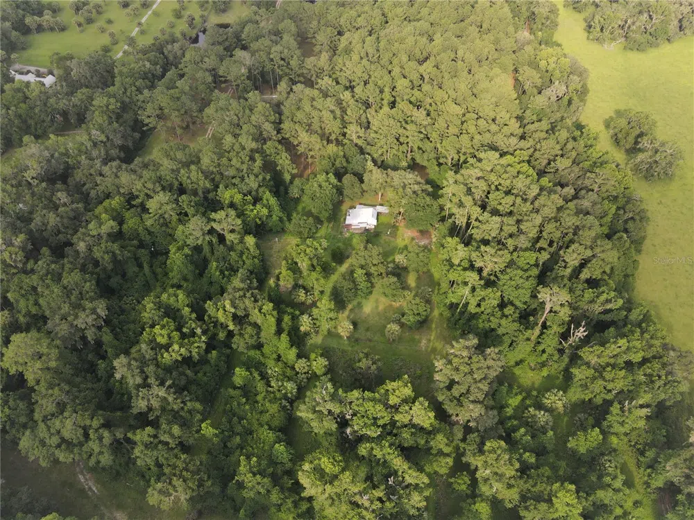 15208 SW WILLISTON RD Micanopy, FL 32667