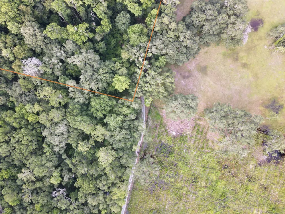15208 SW WILLISTON RD Micanopy, FL 32667