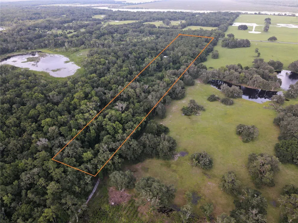 15208 SW WILLISTON RD Micanopy, FL 32667