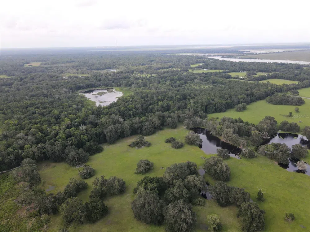 15208 SW WILLISTON RD Micanopy, FL 32667