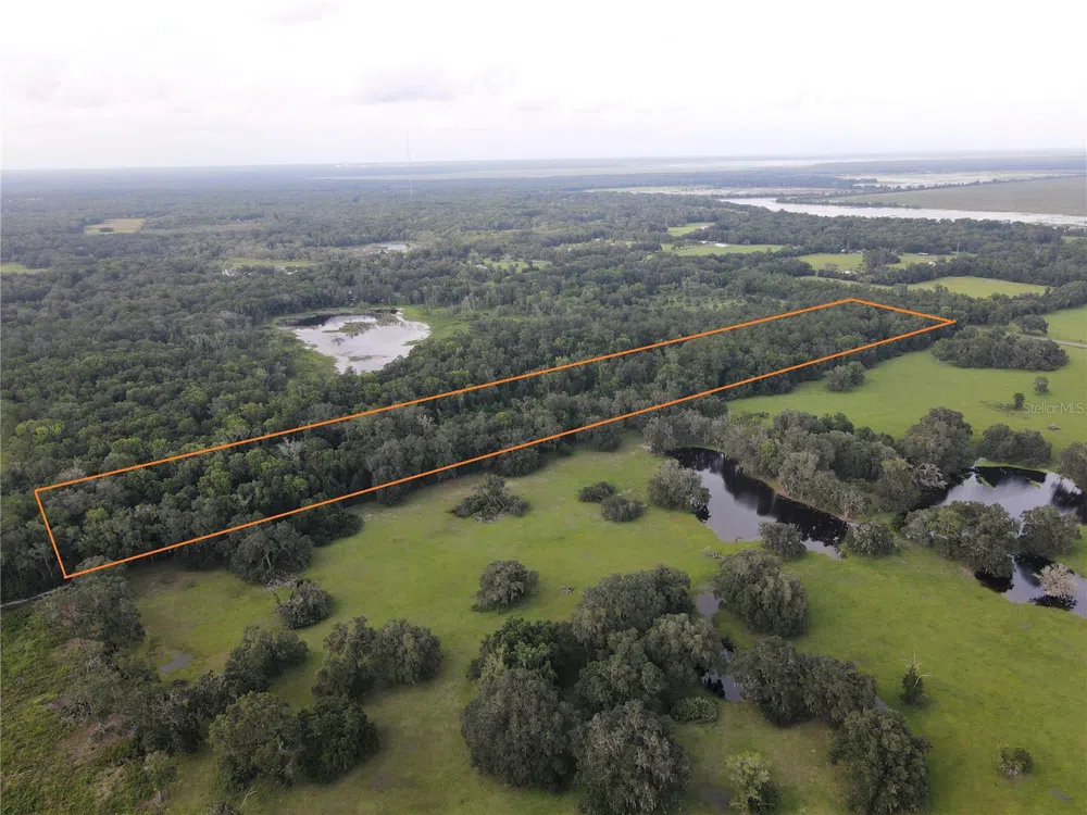 15208 SW WILLISTON RD Micanopy, FL 32667