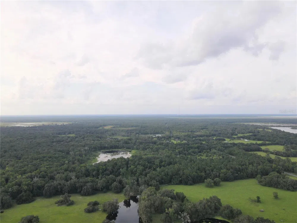 15208 SW WILLISTON RD Micanopy, FL 32667