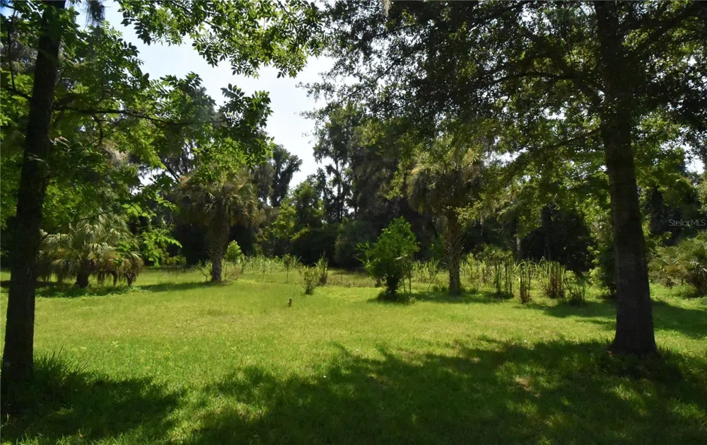 15208 SW WILLISTON RD Micanopy, FL 32667