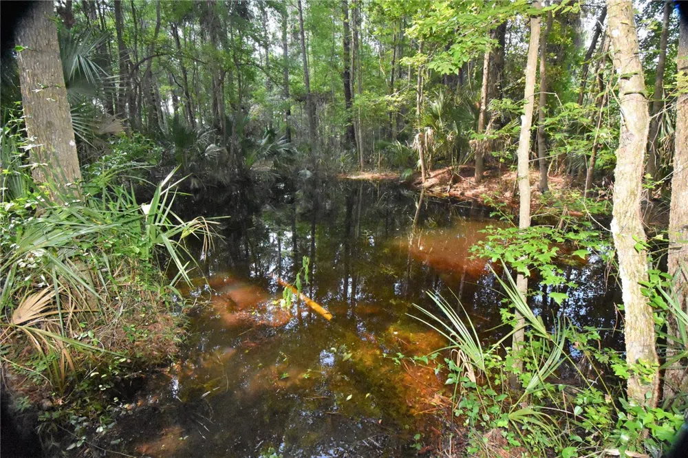 15208 SW WILLISTON RD Micanopy, FL 32667