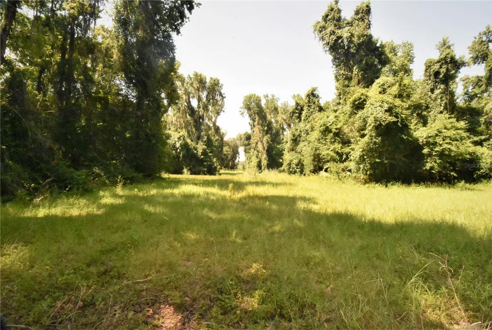 15208 SW WILLISTON RD Micanopy, FL 32667