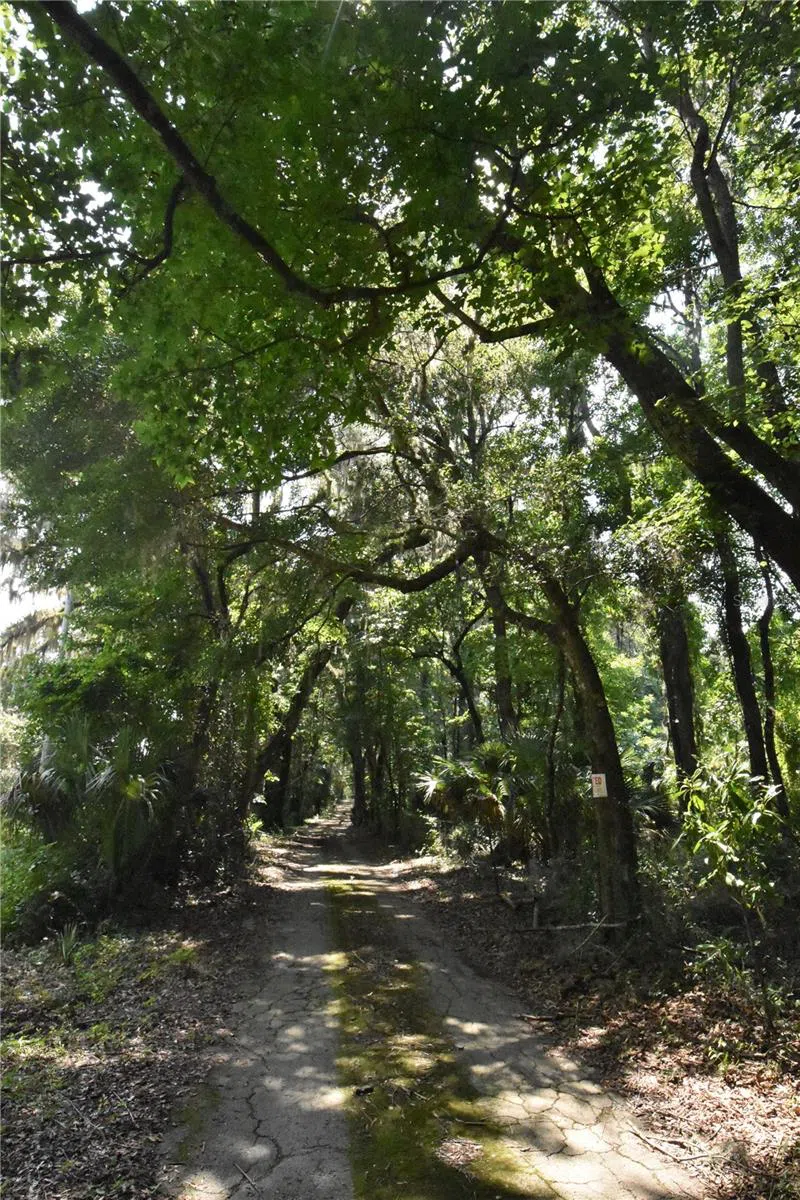 15208 SW WILLISTON RD Micanopy, FL 32667