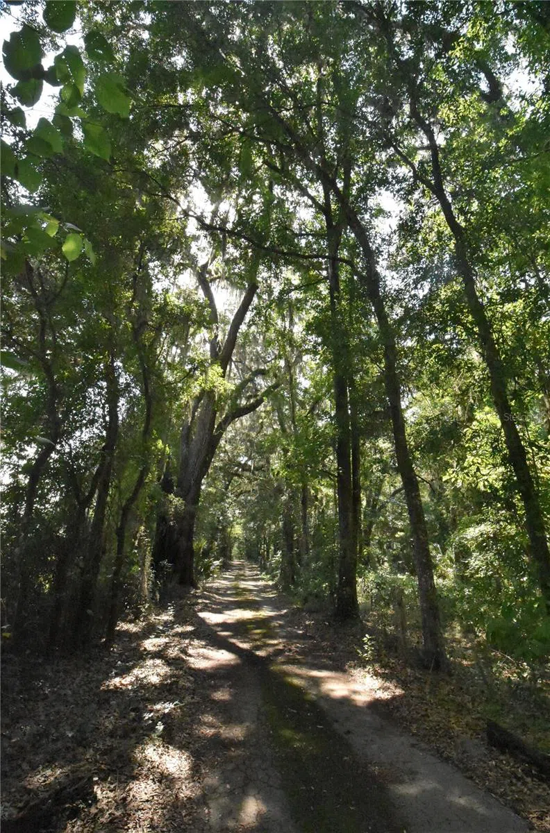 15208 SW WILLISTON RD Micanopy, FL 32667