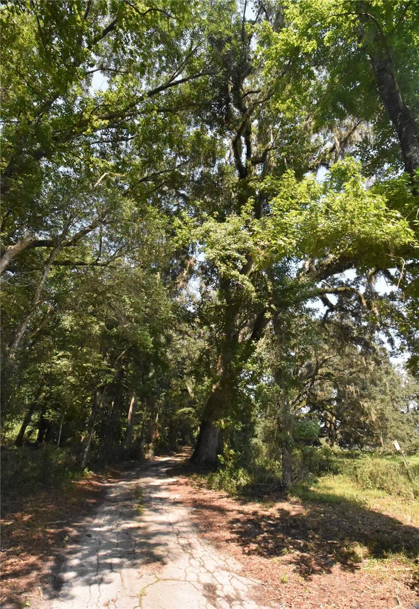 15208 SW WILLISTON RD Micanopy, FL 32667