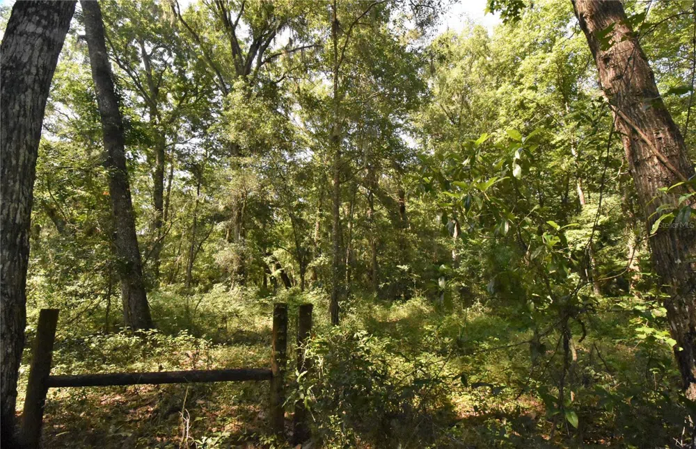 15208 SW WILLISTON RD Micanopy, FL 32667