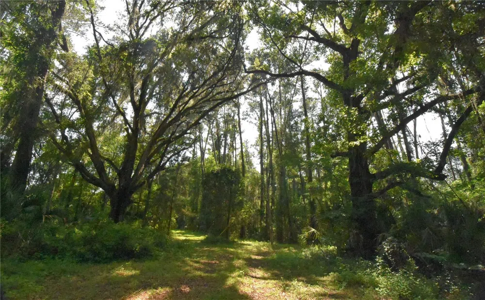 15208 SW WILLISTON RD Micanopy, FL 32667