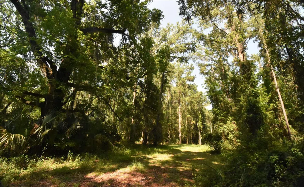 15208 SW WILLISTON RD Micanopy, FL 32667