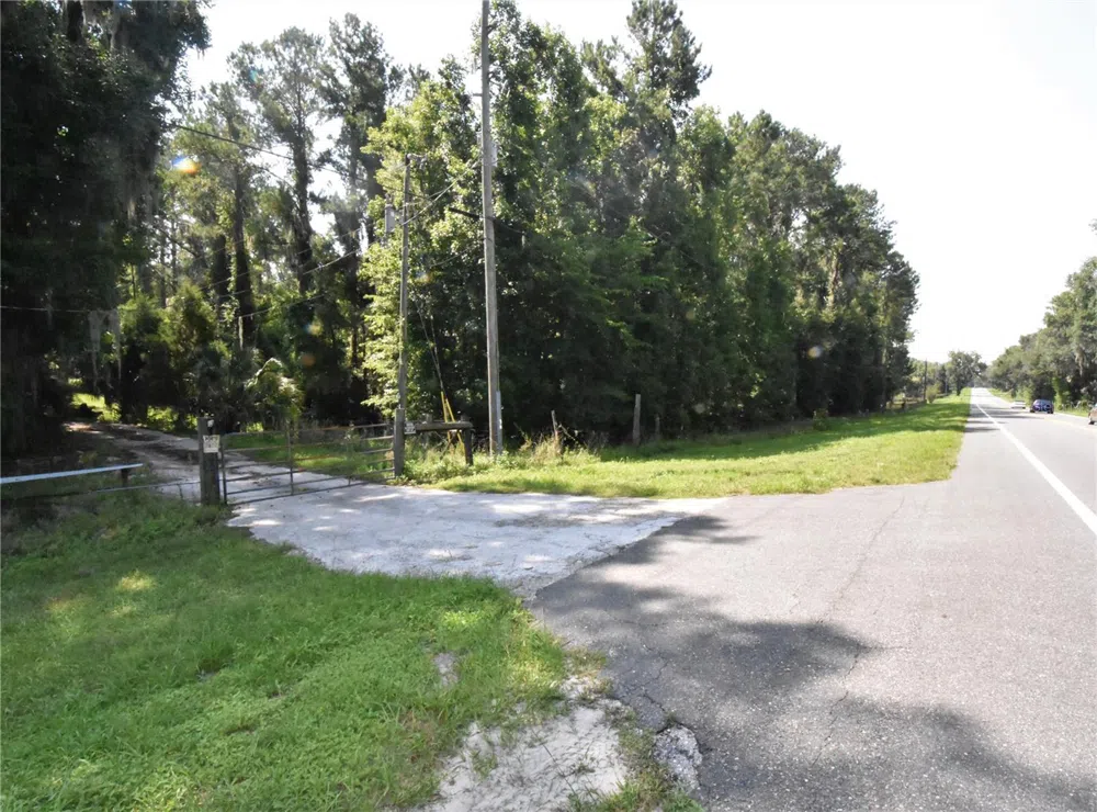 15208 SW WILLISTON RD Micanopy, FL 32667