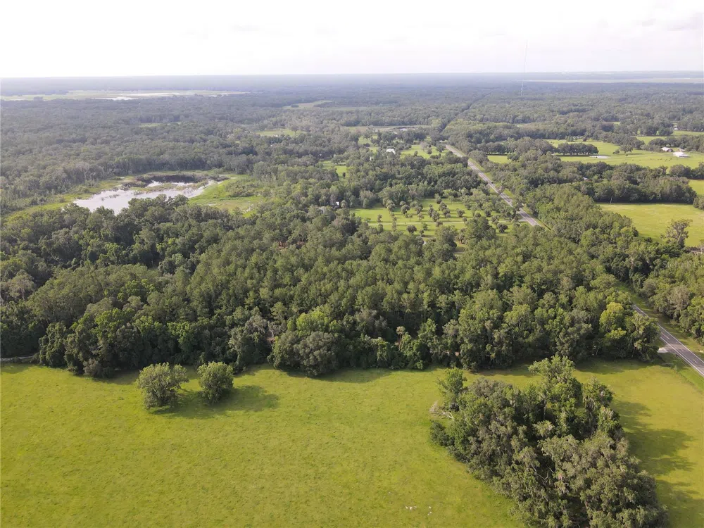 15208 SW WILLISTON RD Micanopy, FL 32667