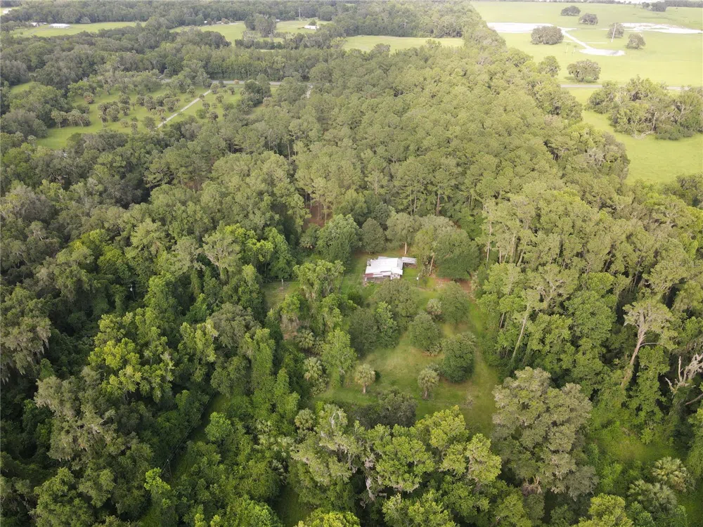 15208 SW WILLISTON RD Micanopy, FL 32667