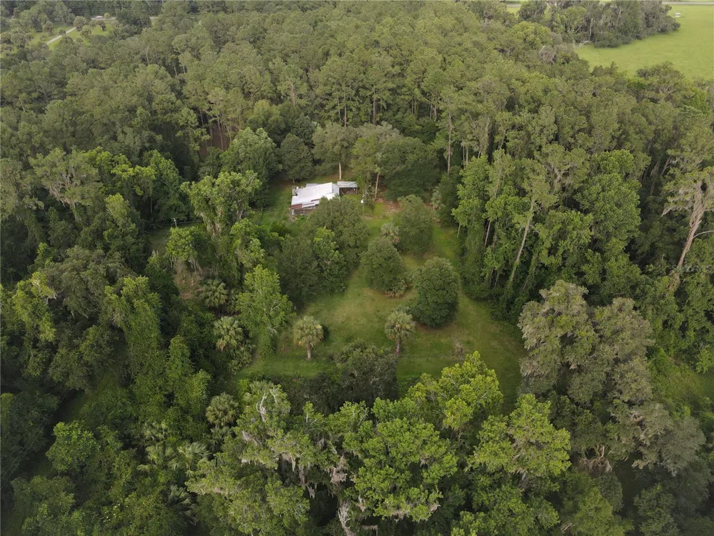 15208 SW WILLISTON RD Micanopy, FL 32667