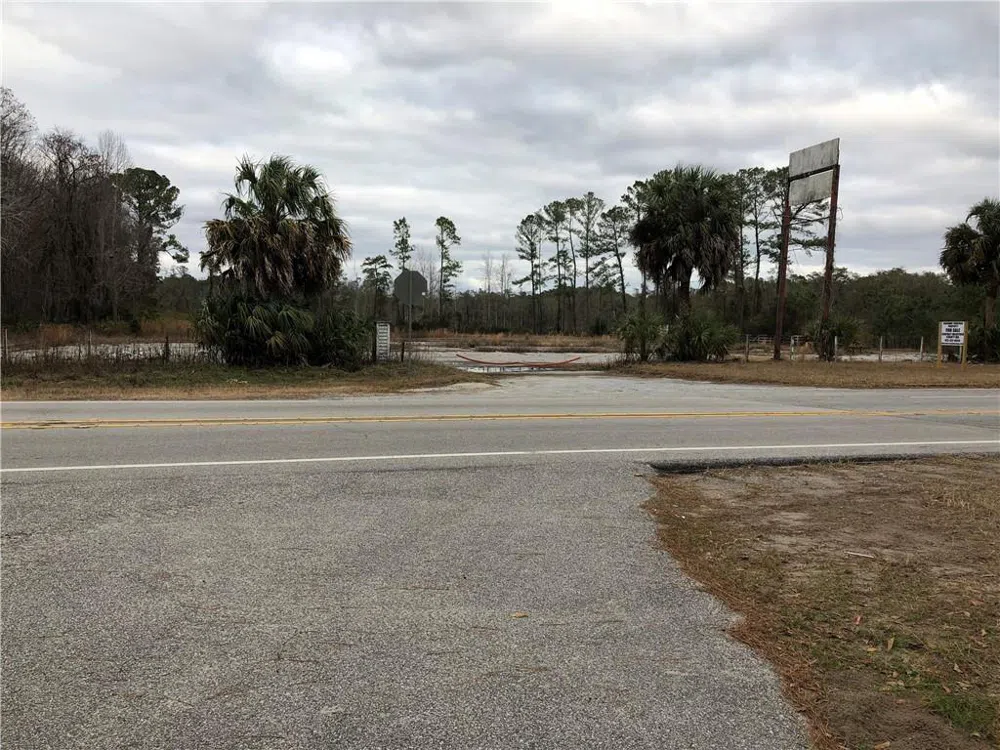 13687 Ga. Hwy. 251 Darien, GA 31305