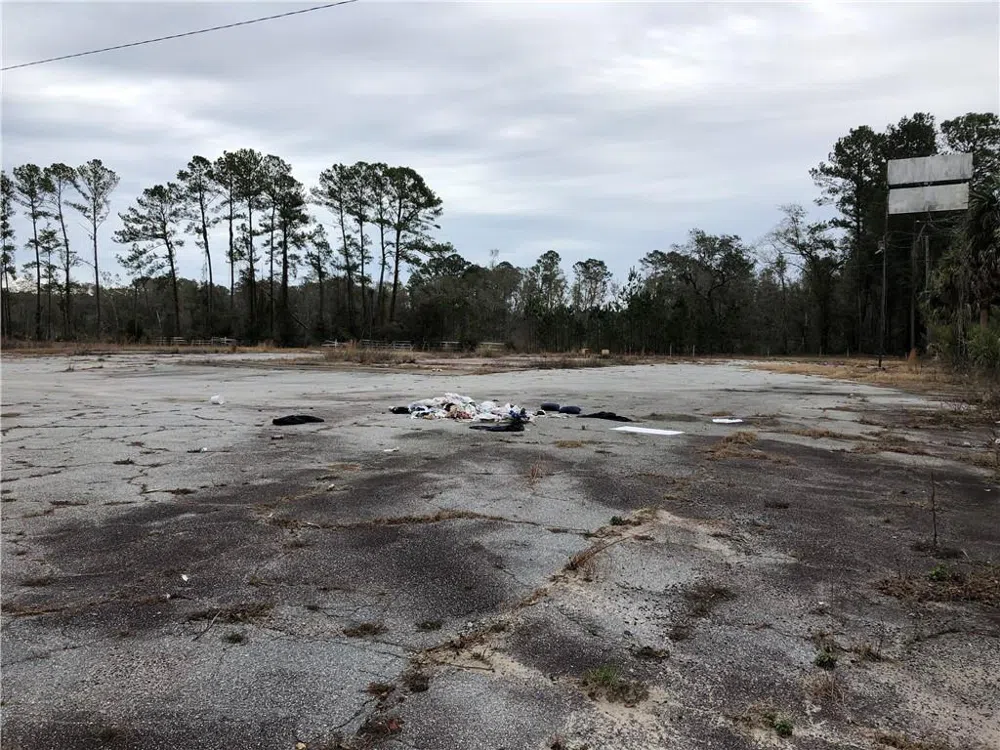13687 Ga. Hwy. 251 Darien, GA 31305