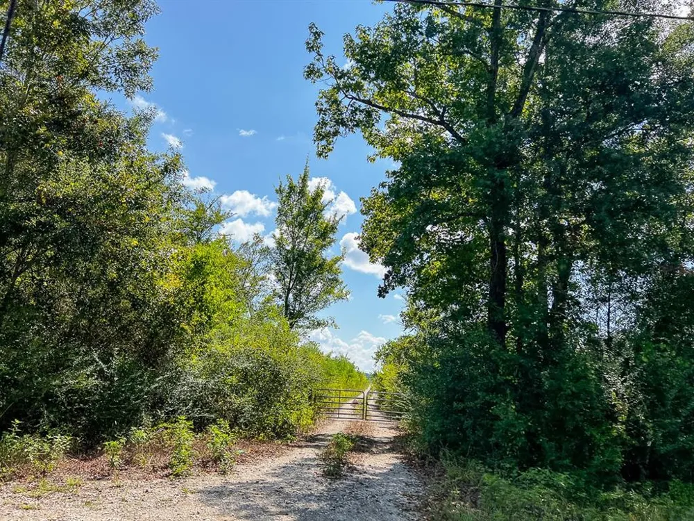 FM 1010 Cleveland, TX 77327