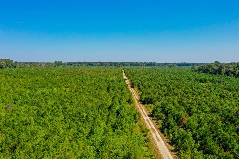 FM 1010 Cleveland, TX 77327