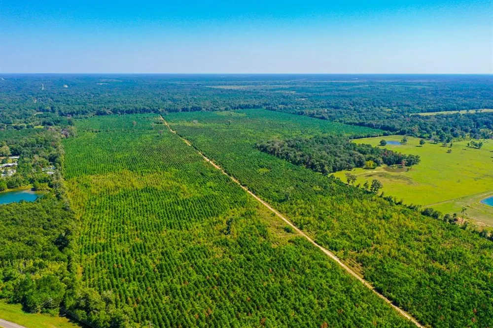 FM 1010 Cleveland, TX 77327
