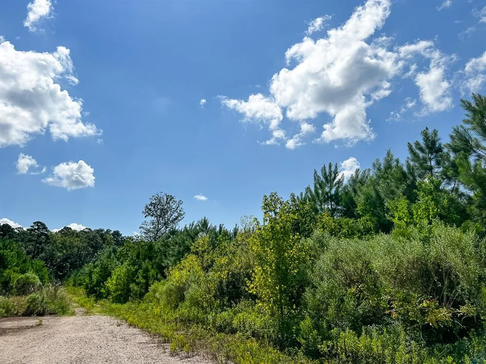 FM 1010 Cleveland, TX 77327