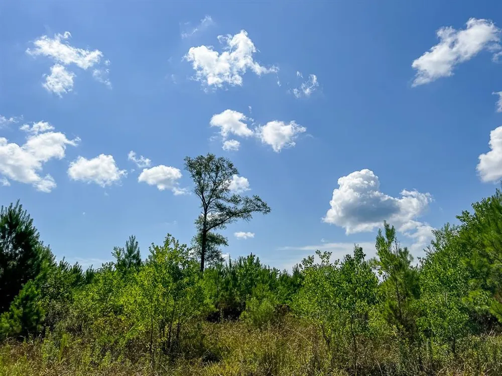 FM 1010 Cleveland, TX 77327